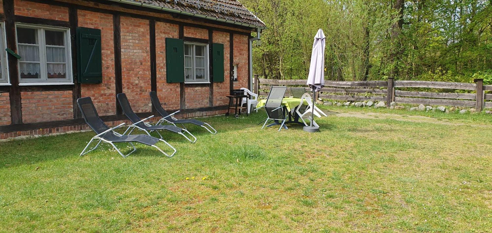 3 Birken Apartment Briesen (Mark)